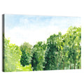 Summer Canopy Watercolor Illustration Wall Art