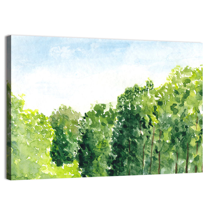 Summer Canopy Watercolor Illustration Wall Art as a canvas print