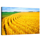 Summer Wheat Field with Curved Paths Wall Art