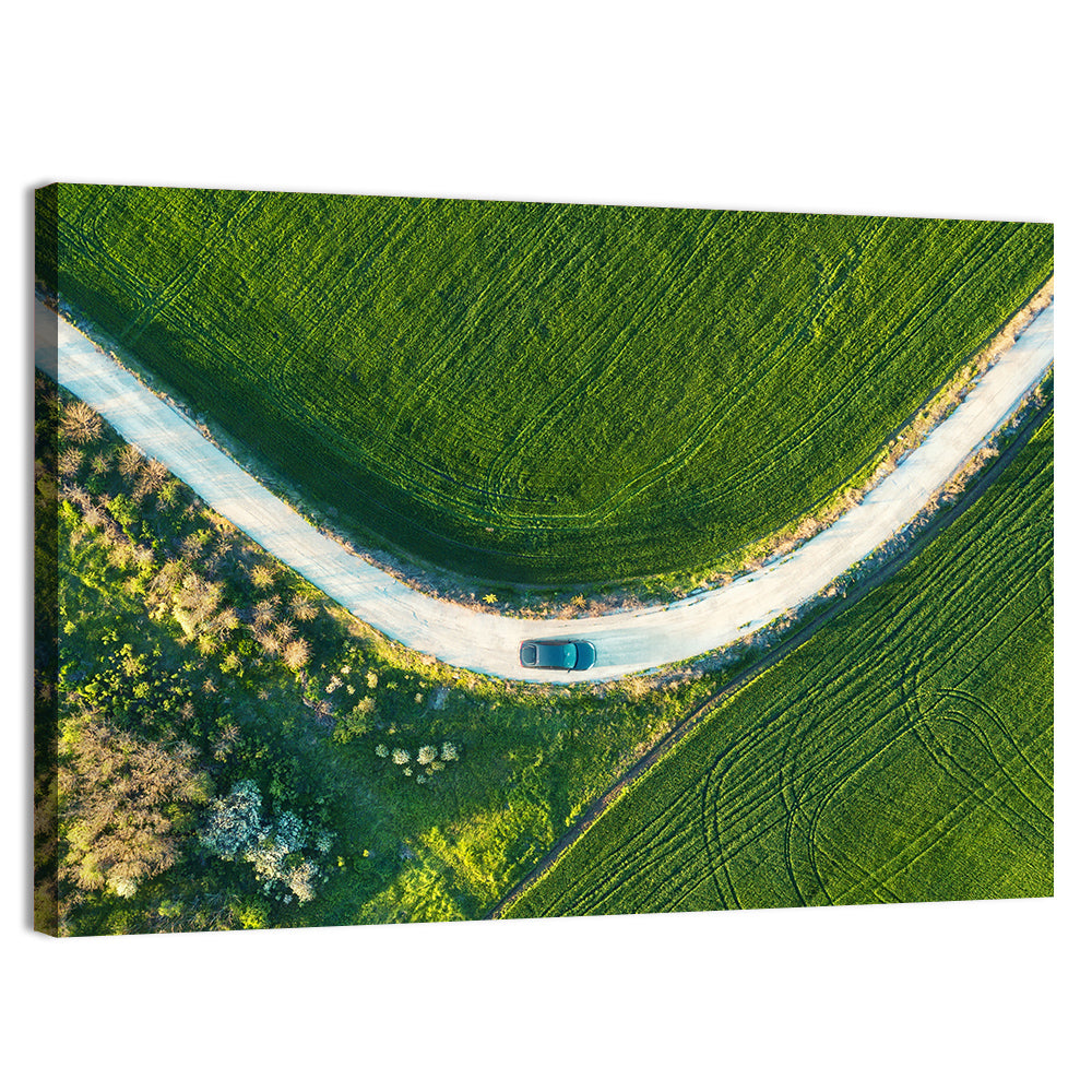 Aerial Farm Fields at Golden Hour Wall Art, canvas print, landscape