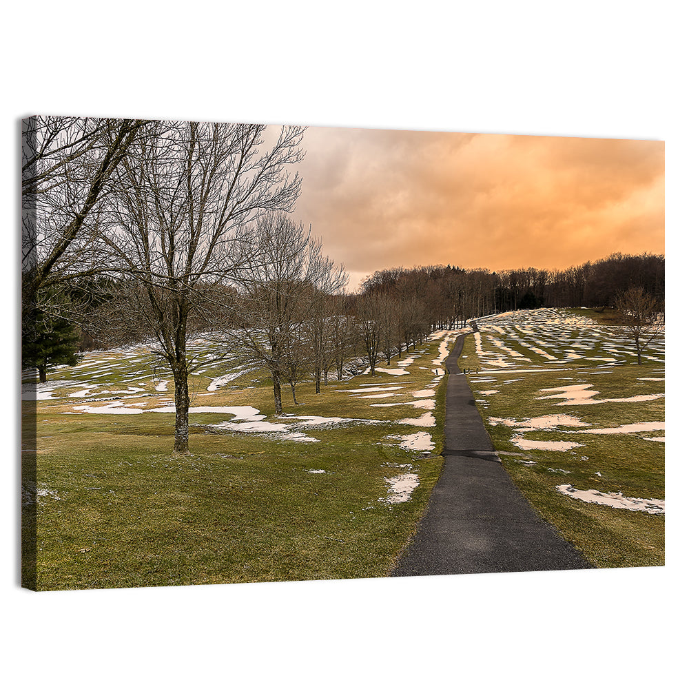 Roscoe Conkling Park Winter Path Wall Art, canvas print, landscape