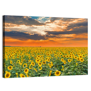 Sunflower Field Wall Art