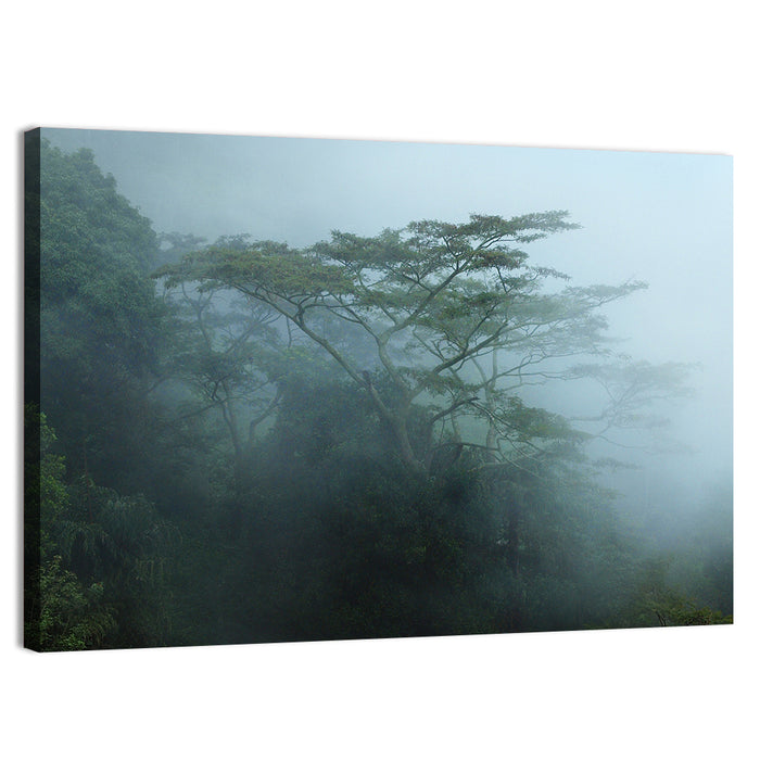 Misty Rainforest Canopy Wall Art as a canvas print