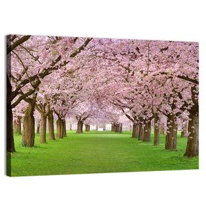 Blossoming Cherry Wall Art