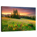 Sunset Meadow with Wildflowers Wall Art