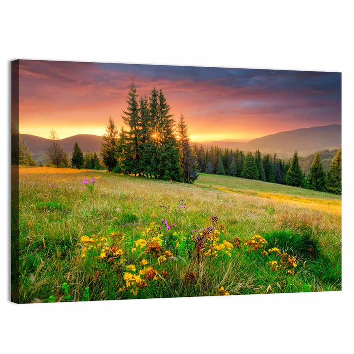 Sunset Meadow with Wildflowers Wall Art as a canvas print