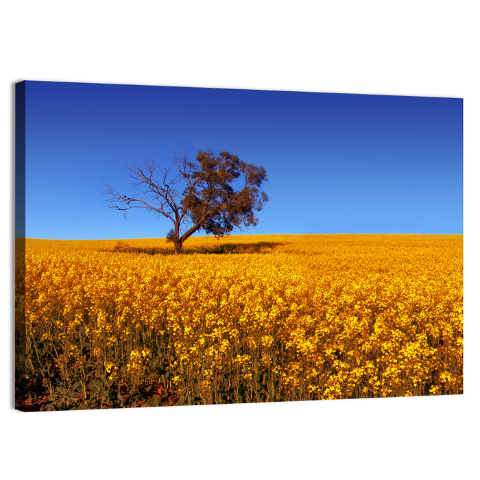 Canola Field with Lone Tree Wall Art as a canvas print