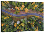 Aerial Autumn Forest Road Wall Art