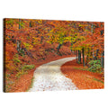Misty Gravel Path Through Autumn Trees Wall Art