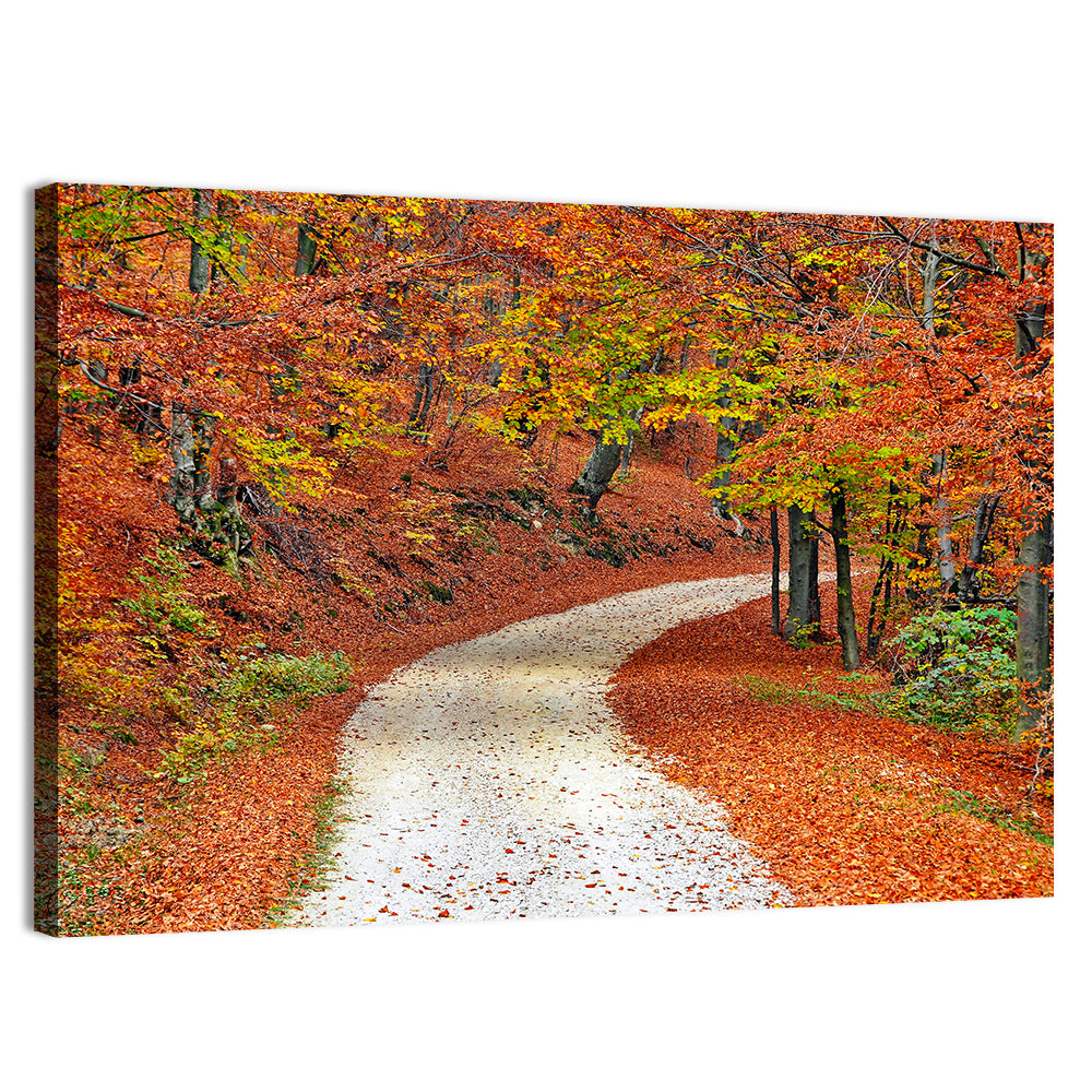 Misty Gravel Path Through Autumn Trees Wall Art
