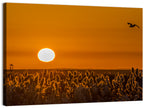 Golden Sunrise Over Reeds Wall Art