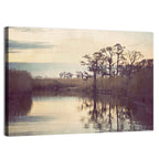 Louisiana Cypress Swamp at Dusk Wall Art