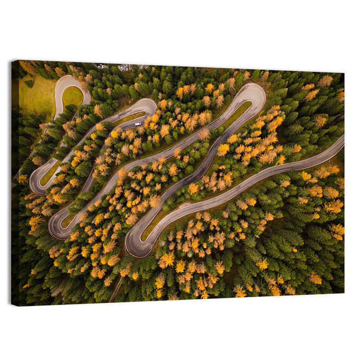 Aerial Curvy Forest Road Wall Art as a canvas print