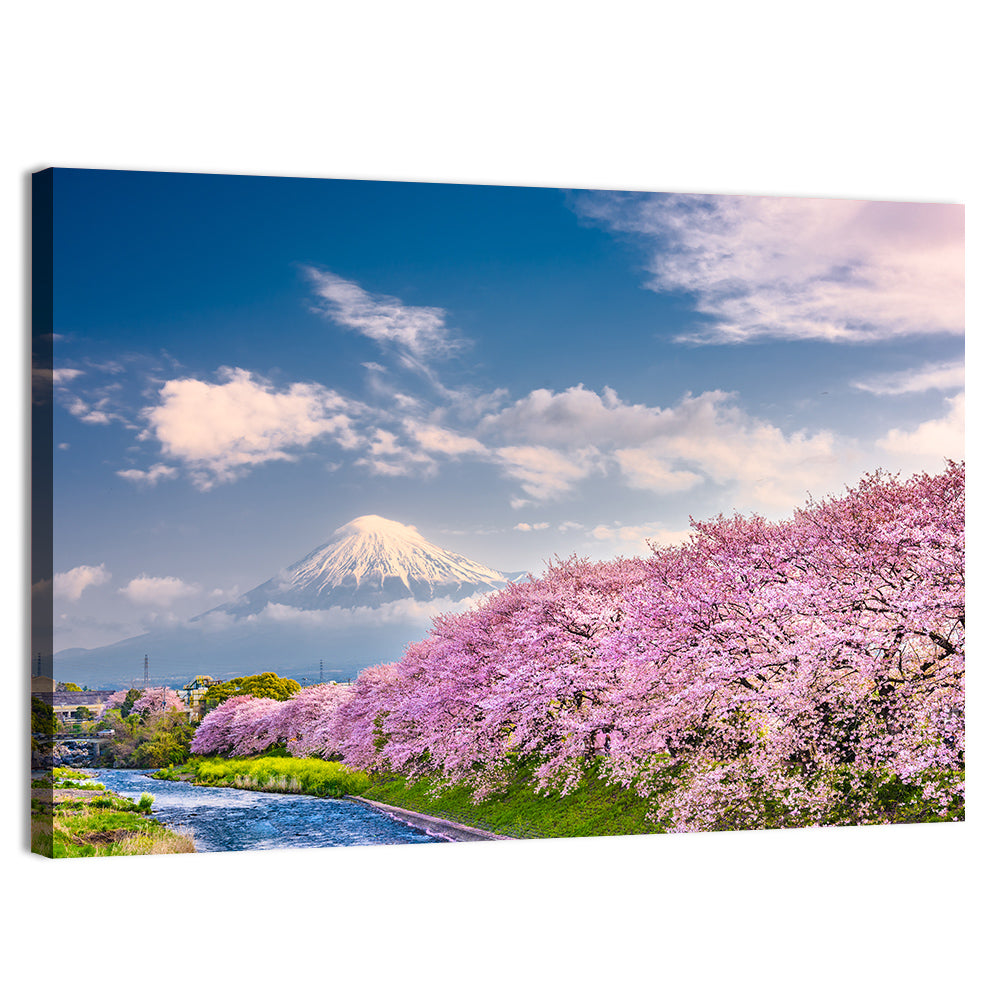 Mount Fuji Cherry Blossoms Wall Art, canvas print, landscape