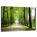 Sunlit Tree-lined Path Wall Art