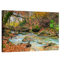 Mossy Footbridge in Autumn Forest Wall Art