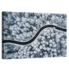 S-curve Winter Forest Road Wall Art