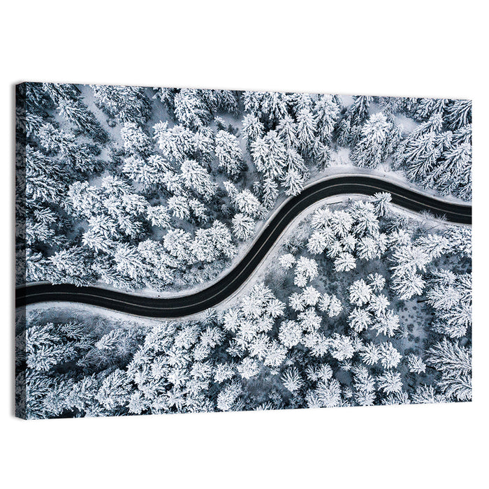 S-curve Winter Forest Road Wall Art as a canvas print