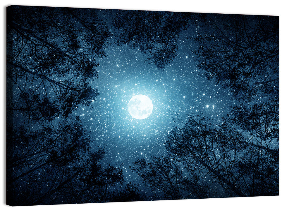 Full Moon Over Forest Wall Art, canvas print, landscape