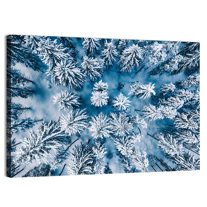 Aerial Snowy Evergreen Canopy Wall Art as a canvas print