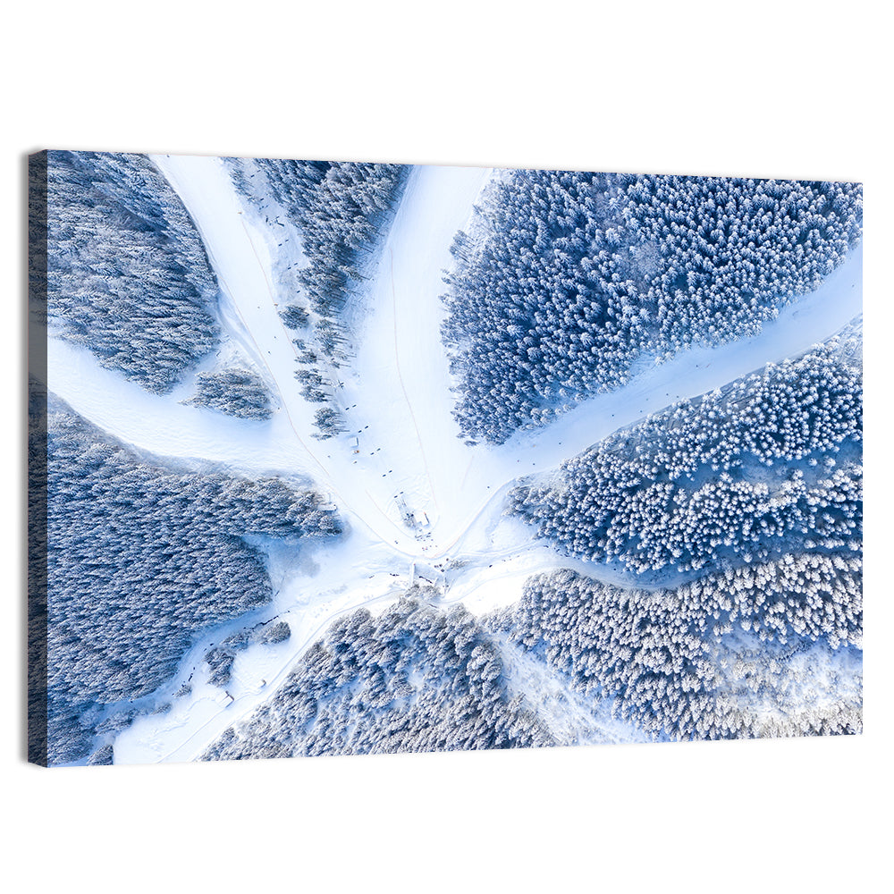 Birds-eye Ski Resort Landscape Wall Art