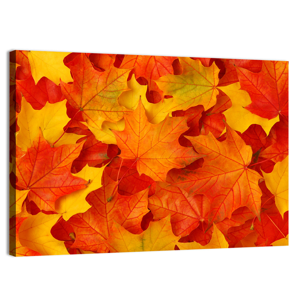 Autumn Maple Leaves Wall Art, canvas print, landscape