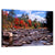 New Hampshire Autumn Stream Wall Art