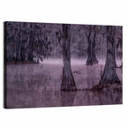 Caddo Lake Cypress Trees Wall Art