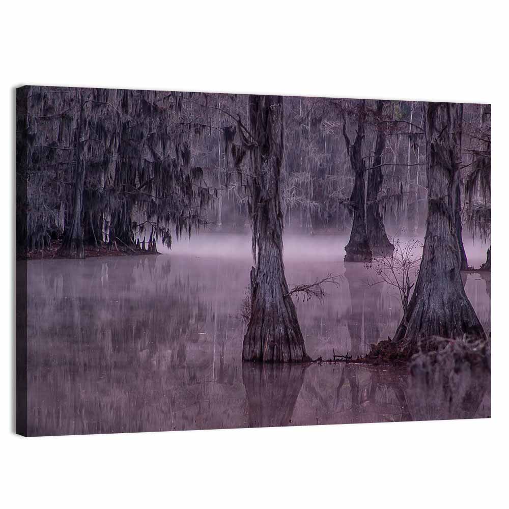 Cypress Trees & Caddo Lake Wall Art