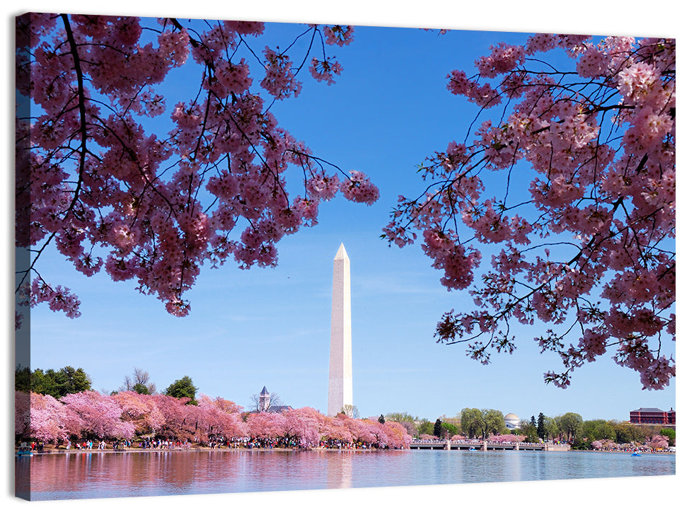 Washington Monument with Cherry Blossoms Wall Art, canvas print, landscape