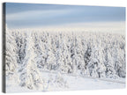 Snowy Forest Railway Tracks Wall Art