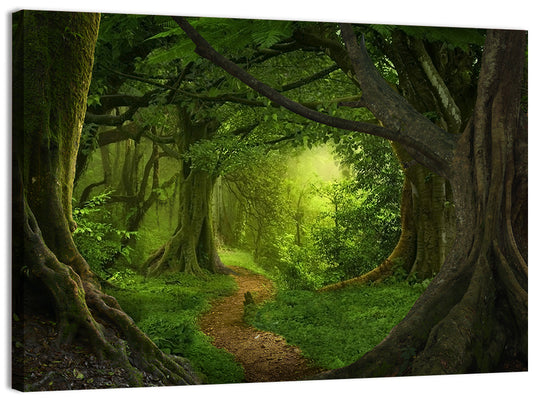 Tropical Forest Path Wall Art