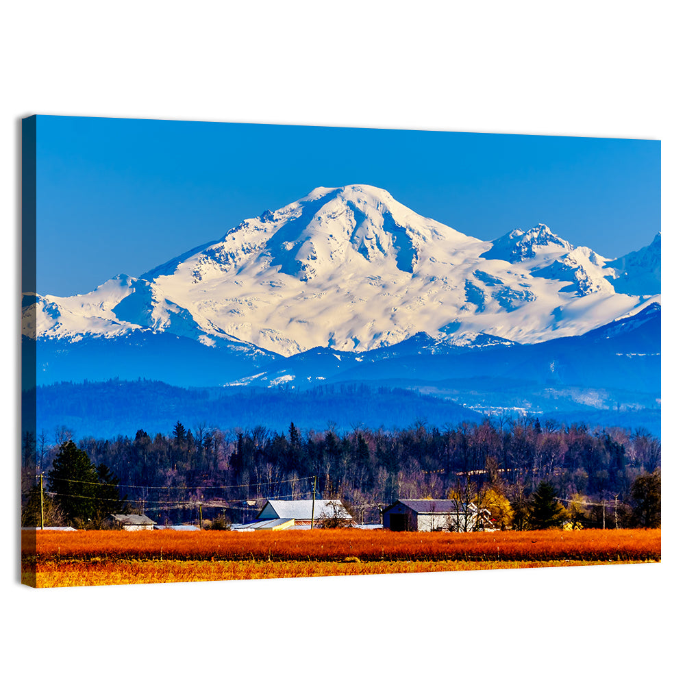 Mount Baker Fields Wall Art
