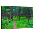 Lush Virginia Forest Trail Wall Art