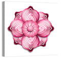 Red Onion Mandala Floral Pattern Wall Art