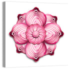 Red Onion Mandala Floral Pattern Wall Art