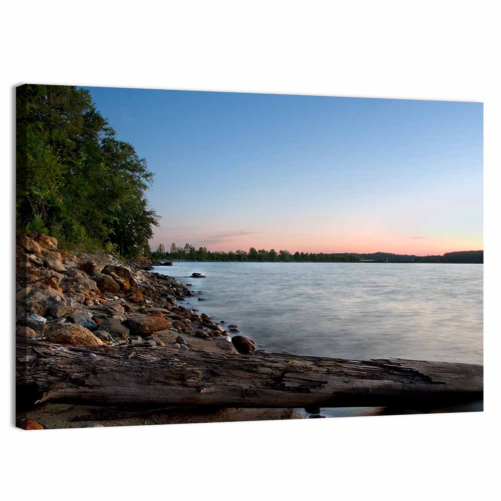Lake Hartwell Driftwood Shoreline Wall Art
