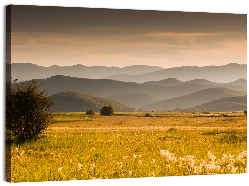 Golden Hour Countryside Hills Wall Art, canvas print, landscape