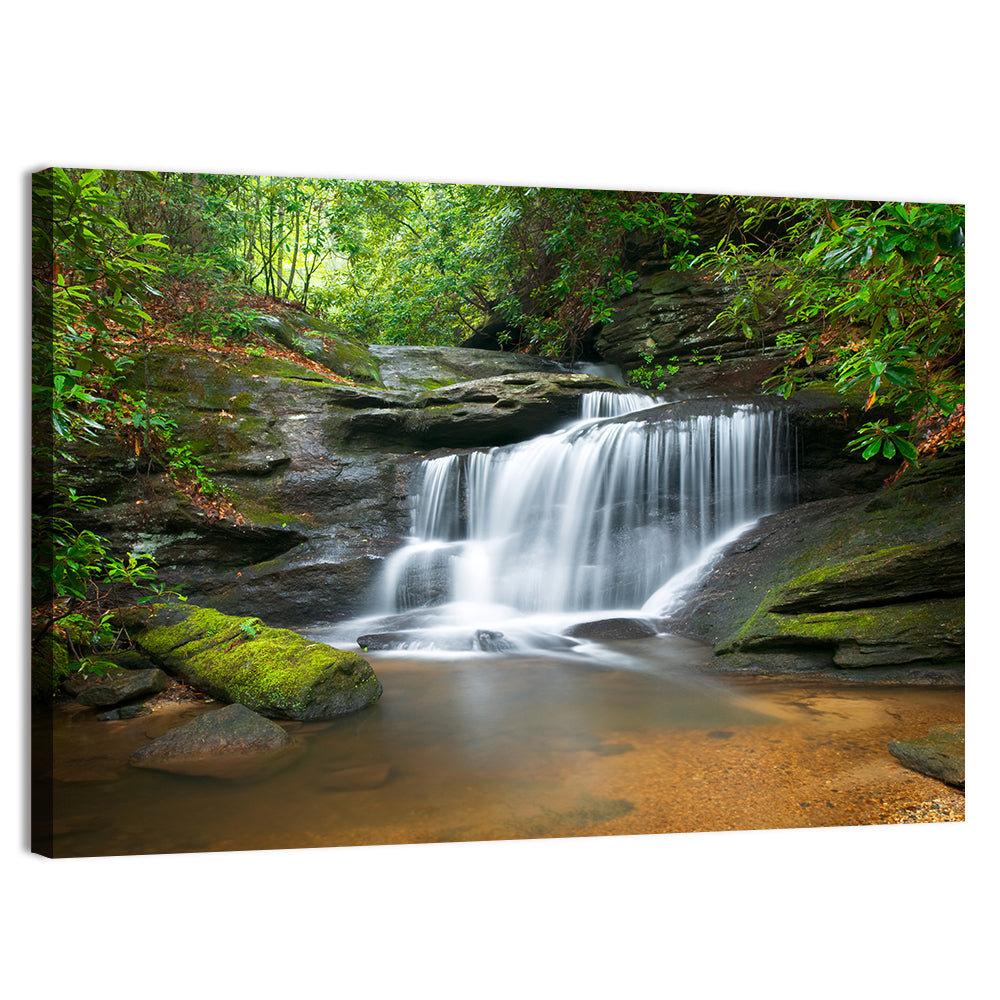 Blue Ridge Mossy Waterfall Wall Art, canvas print, landscape