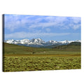 Sierra Nevada Sagebrush Plains Wall Art
