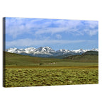 Sierra Nevada Sagebrush Plains Wall Art