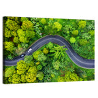 Winding Tropical Forest Road Wall Art