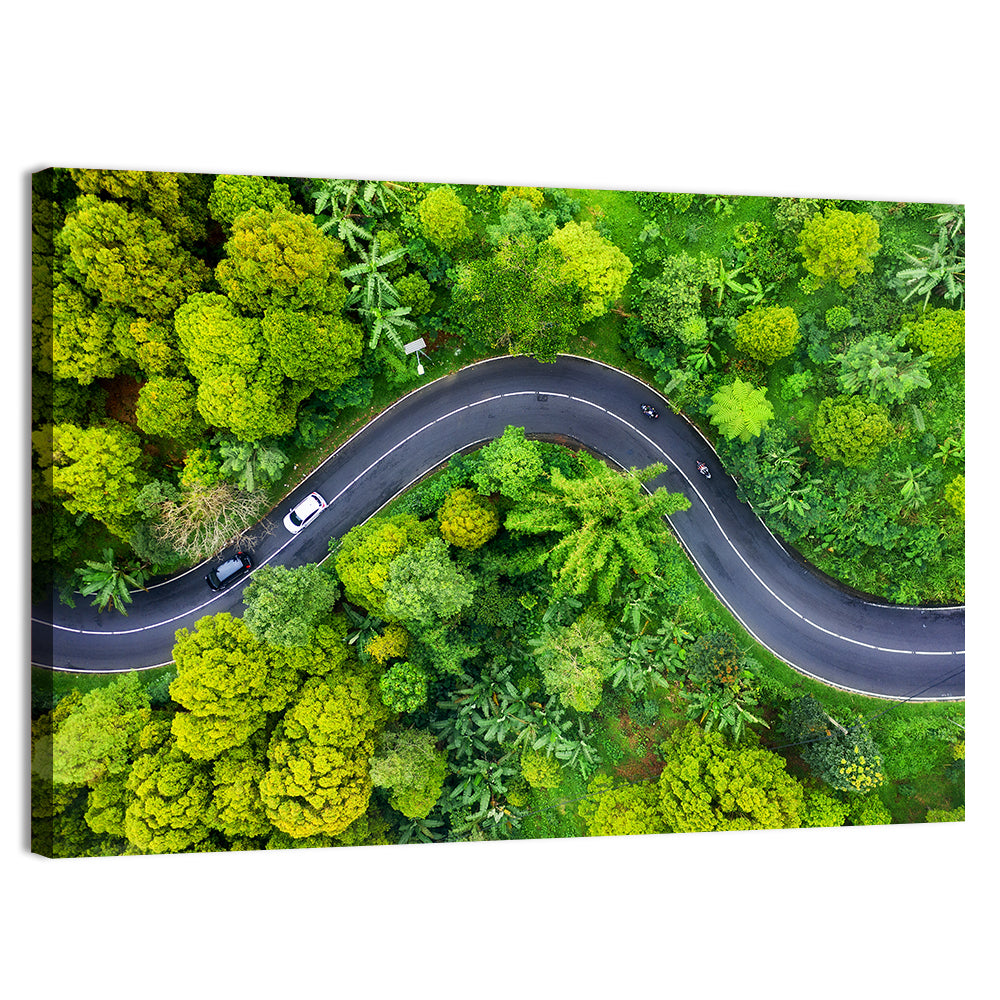 Winding Tropical Forest Road Wall Art