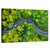 Summer Forest Road Aerial Wall Art