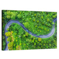 Blue Car on Summer Forest Road Wall Art