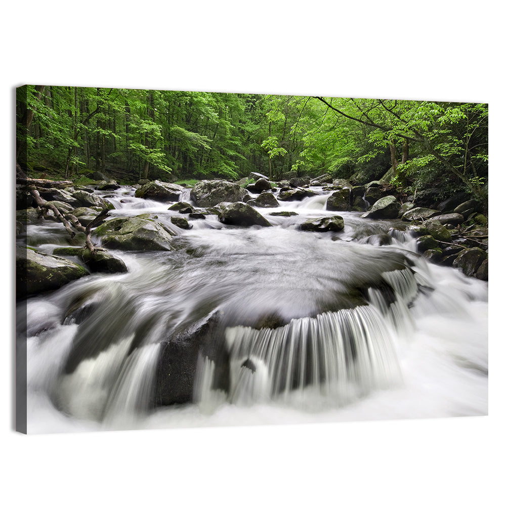 Smoky Mountains Cascading Stream Wall Art, canvas print, landscape