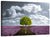 Lavender Meadow Crossroad Wall Art