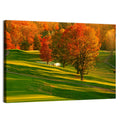 Golden Hour Golf Course Wall Art