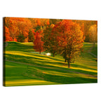 Golden Hour Golf Course Wall Art