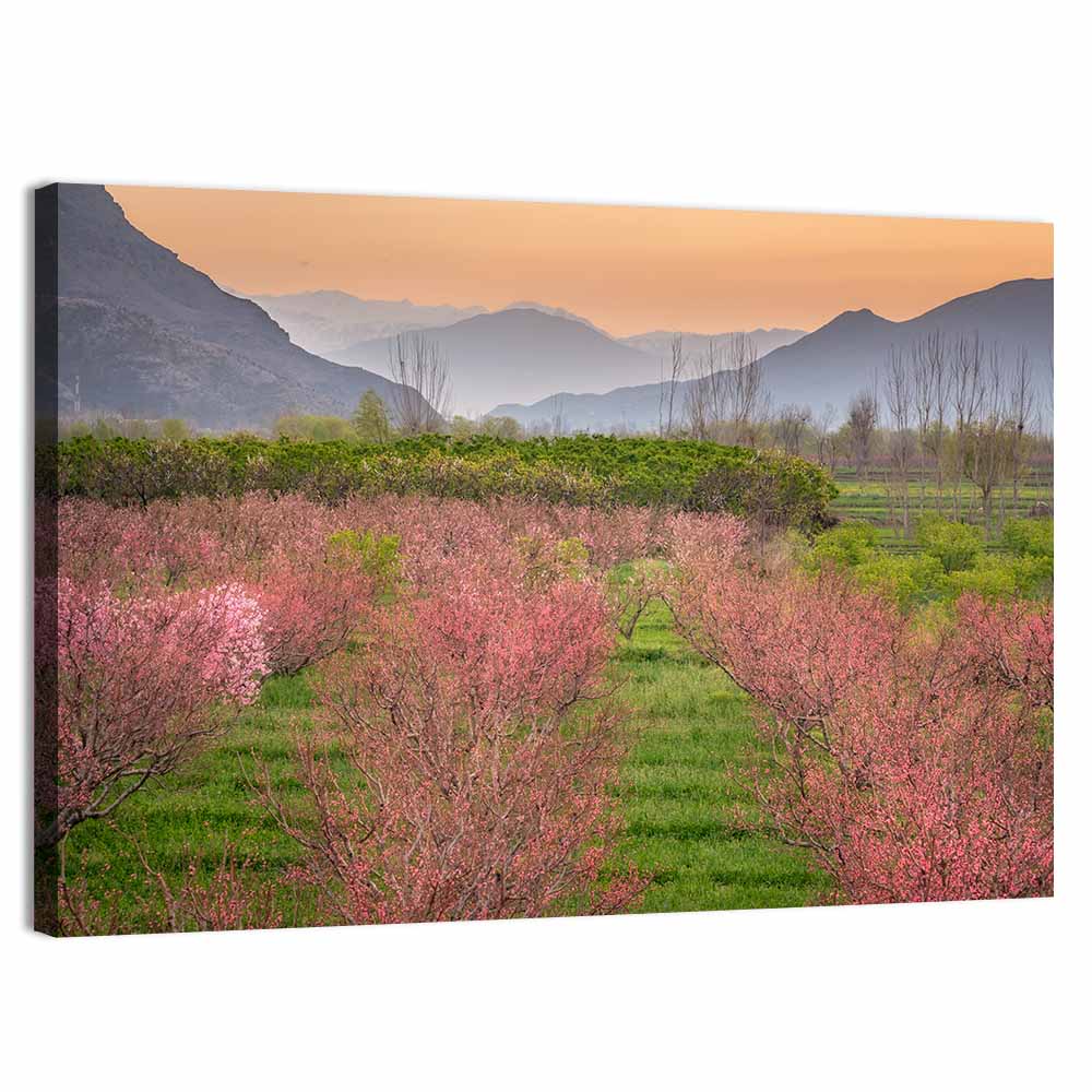 Swat Valley Spring Orchard Wall Art